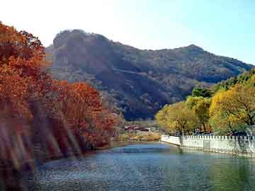 新澳天天开奖资料大全旅游团，小型颗粒包装机